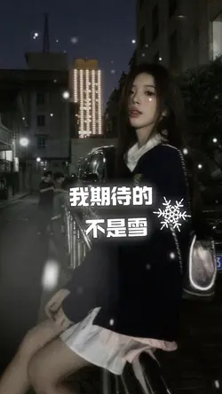 我期待的不是雪