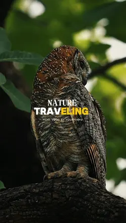 Travel nature