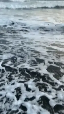 video kane tiktok