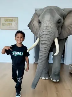 Éléphant