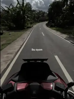 anak ayam