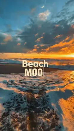 Beach Mood. 