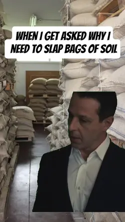 succession HBO meme