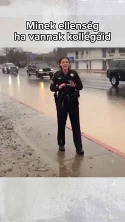 Police officer 