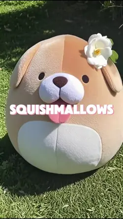 SQUISHMALLOWS AI