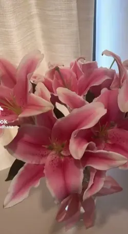FAVORITE FLOWERSS💐💐
