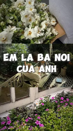 Em Là Bà Nội Của Anh