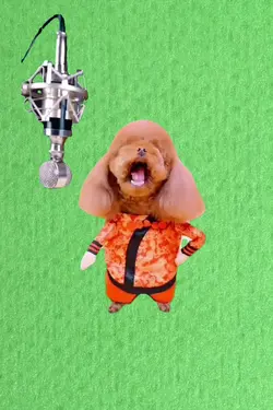 funny dog