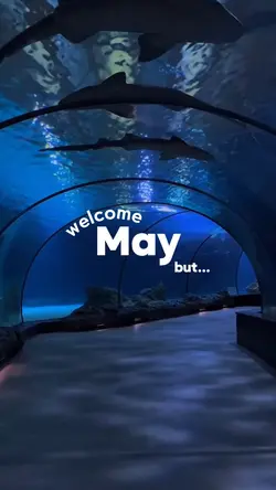 welcome May