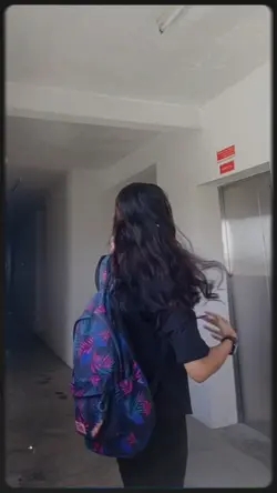 Bgm :/