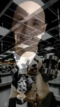 Panda bodybuilder