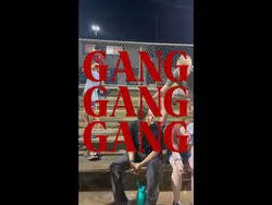 Me and My Gang 