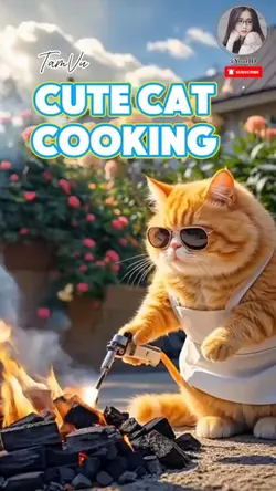 Cute cat