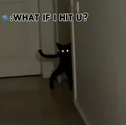 Try me 