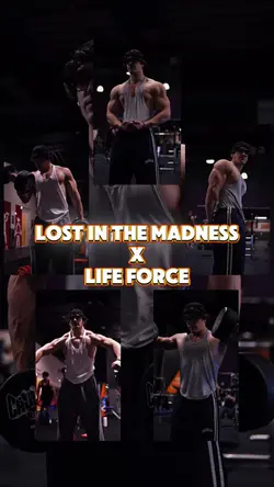 Lost in the Madness