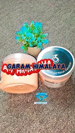 Review Garam Himalay