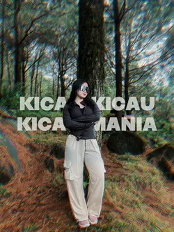 kicau mania