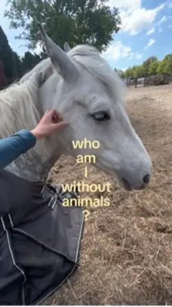 Animals💕