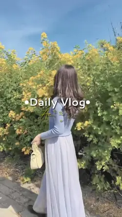 Daily vlog