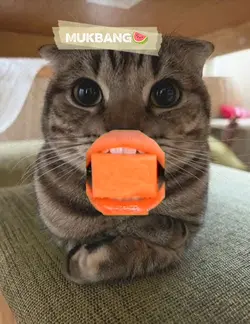 Mukbang