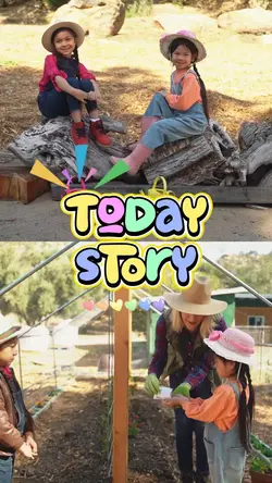 Today story