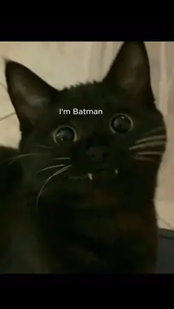 I’m batman
