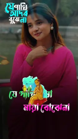 যে পাখি আদর বুঝে না 