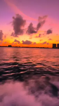 1 VIDEO 20 PHOTO