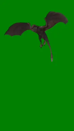 green screen backgro