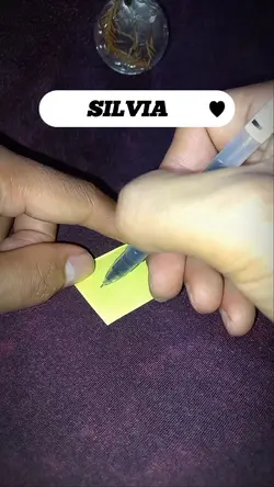 write name silvia