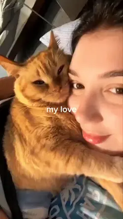 cute cat