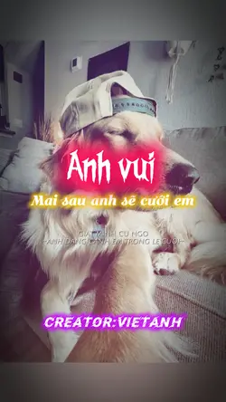 ANH VUI