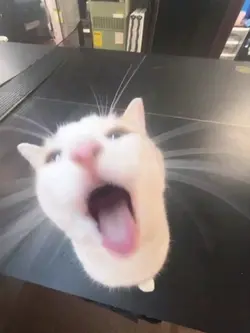 koma,