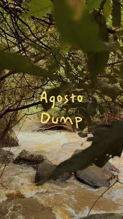 Dump Template