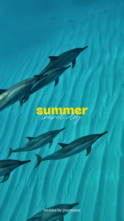 Summer Recap
