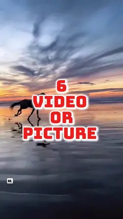 6 video new template