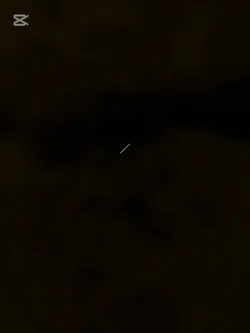 料理動画
