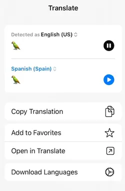 HOW DOES THIS WORK