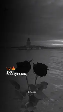 Rojda - tûyi
