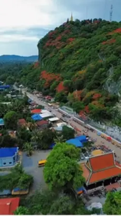 វែខ្មៅអាវស្បែក