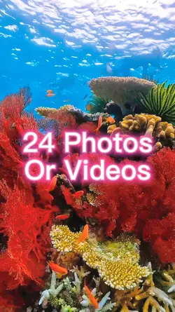24 Photo Slides