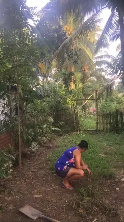 Paangat 