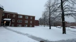 Snow everywher