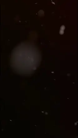 ជាតិនេះបងខុស ព្រោះបង