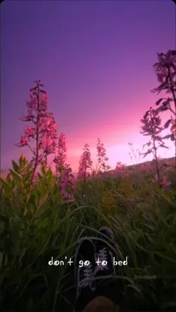 Calm vibes