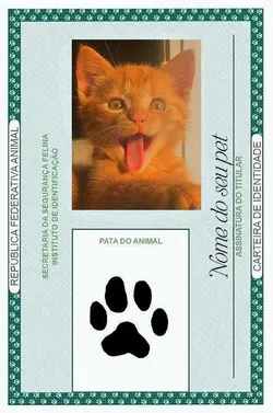 RG do pet Gato