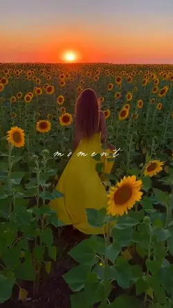 moment