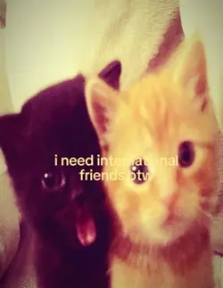 international friend