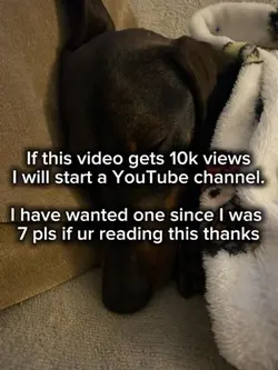 Pls watch 