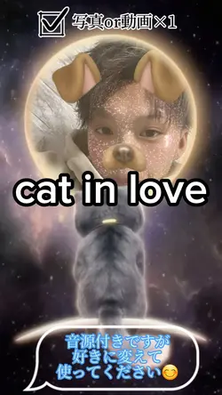 cat in love